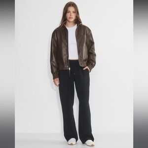 Aritzia Wilfred Thesis Pants
